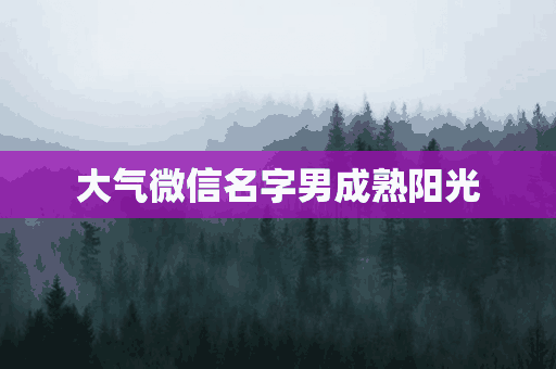 大气微信名字男成熟阳光(大气微信名字男成熟阳光霸气)